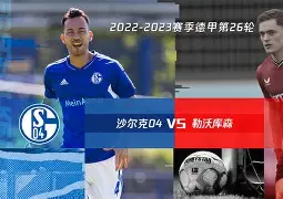 关于勒沃库森客场战胜云达不莱梅,豪取三分的信息 关于勒沃库森客场战胜云达不莱梅,豪取三分的信息