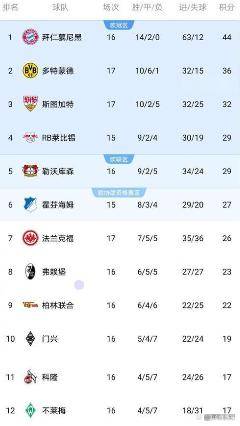 土伦主场不敌多特蒙德，积分榜位置受挑战的简单介绍