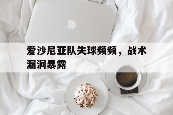 爱沙尼亚队失球频频，战术漏洞暴露